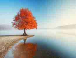 爬‍虫‌ 程​序‌